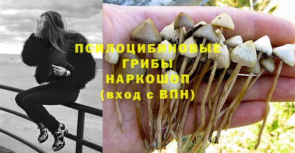 герыч Алексеевка