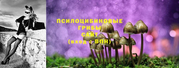 эйфоретик Алексин