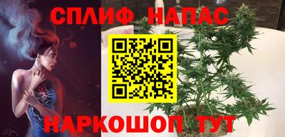 ГАЛЛЮЦИНОГЕННЫЕ ГРИБЫ Кингисепп