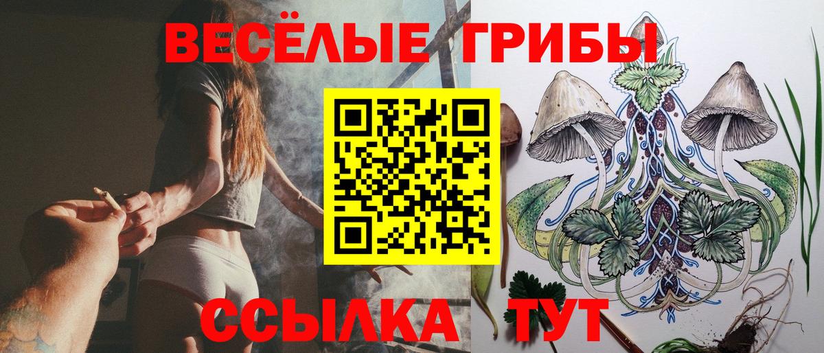 магазин продажи   Вход с VPN  Выкса  Галлюциногенные грибы GOLDEN TEACHER  Галлюциногенные грибы Psilocybe 