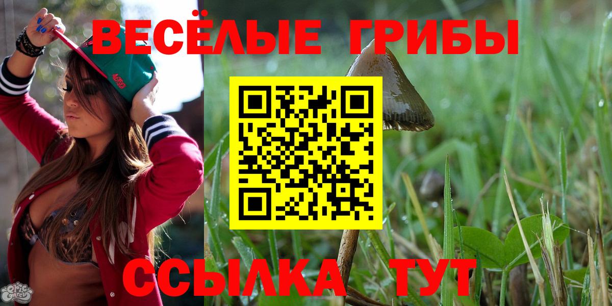 Псилоцибиновые грибы Psilocybine cubensis Выкса